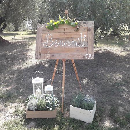 Agriturismo Fonteregia 蒙特卡蒂尼泰尔梅 外观 照片