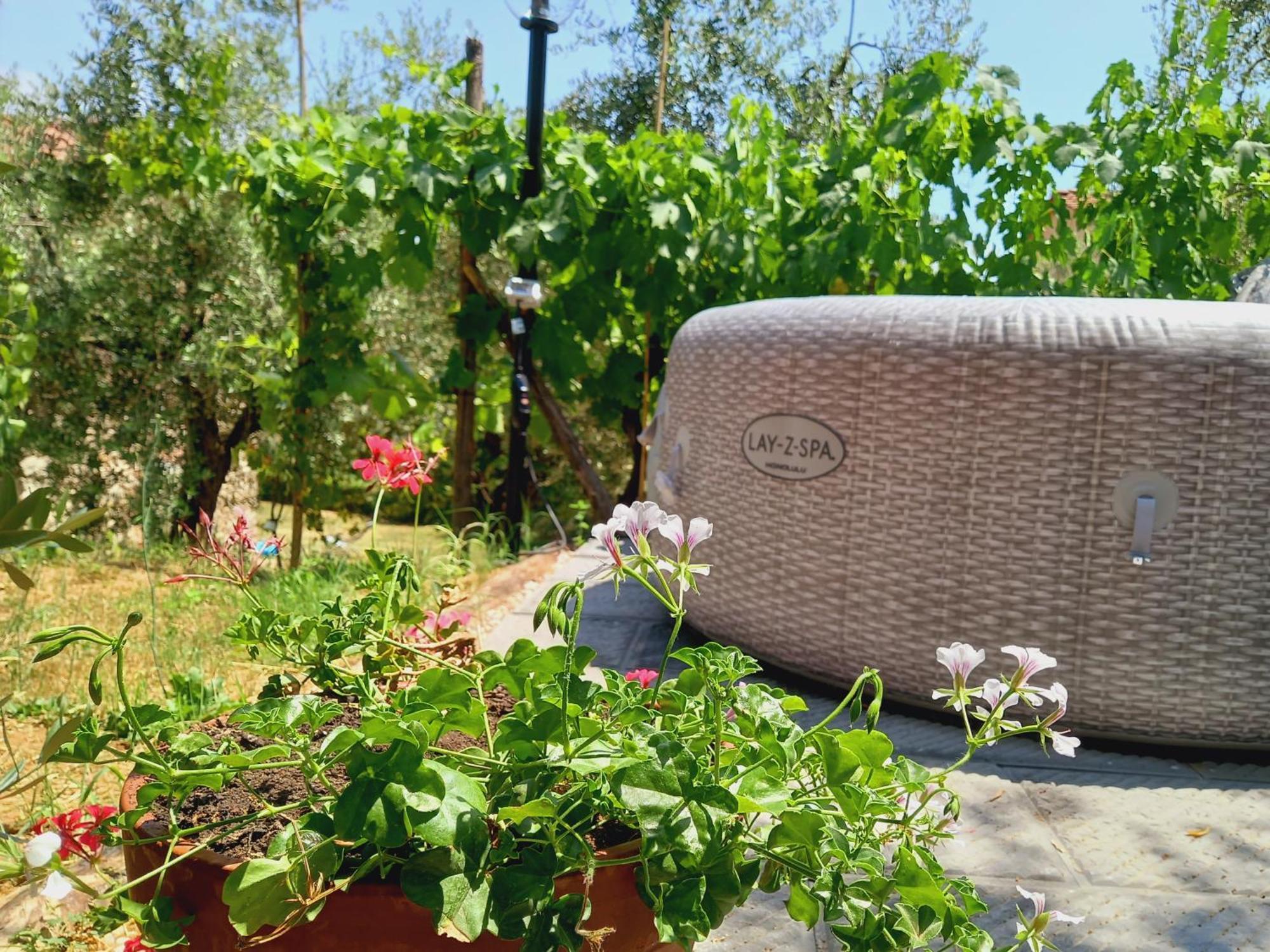 Agriturismo Fonteregia 蒙特卡蒂尼泰尔梅 客房 照片