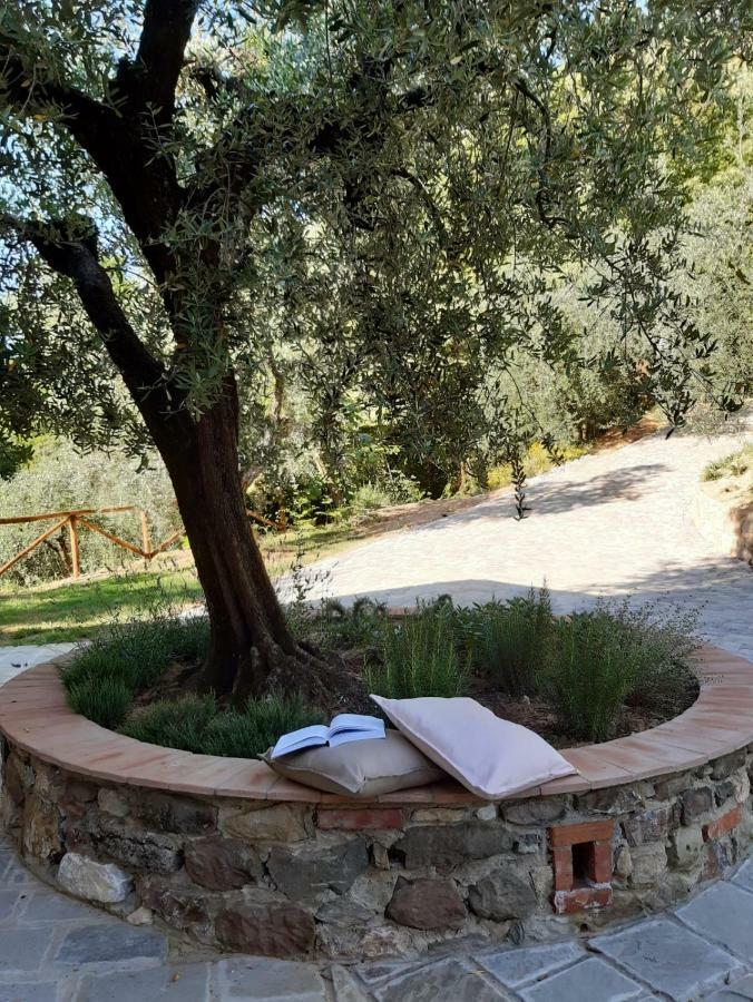 Agriturismo Fonteregia 蒙特卡蒂尼泰尔梅 外观 照片