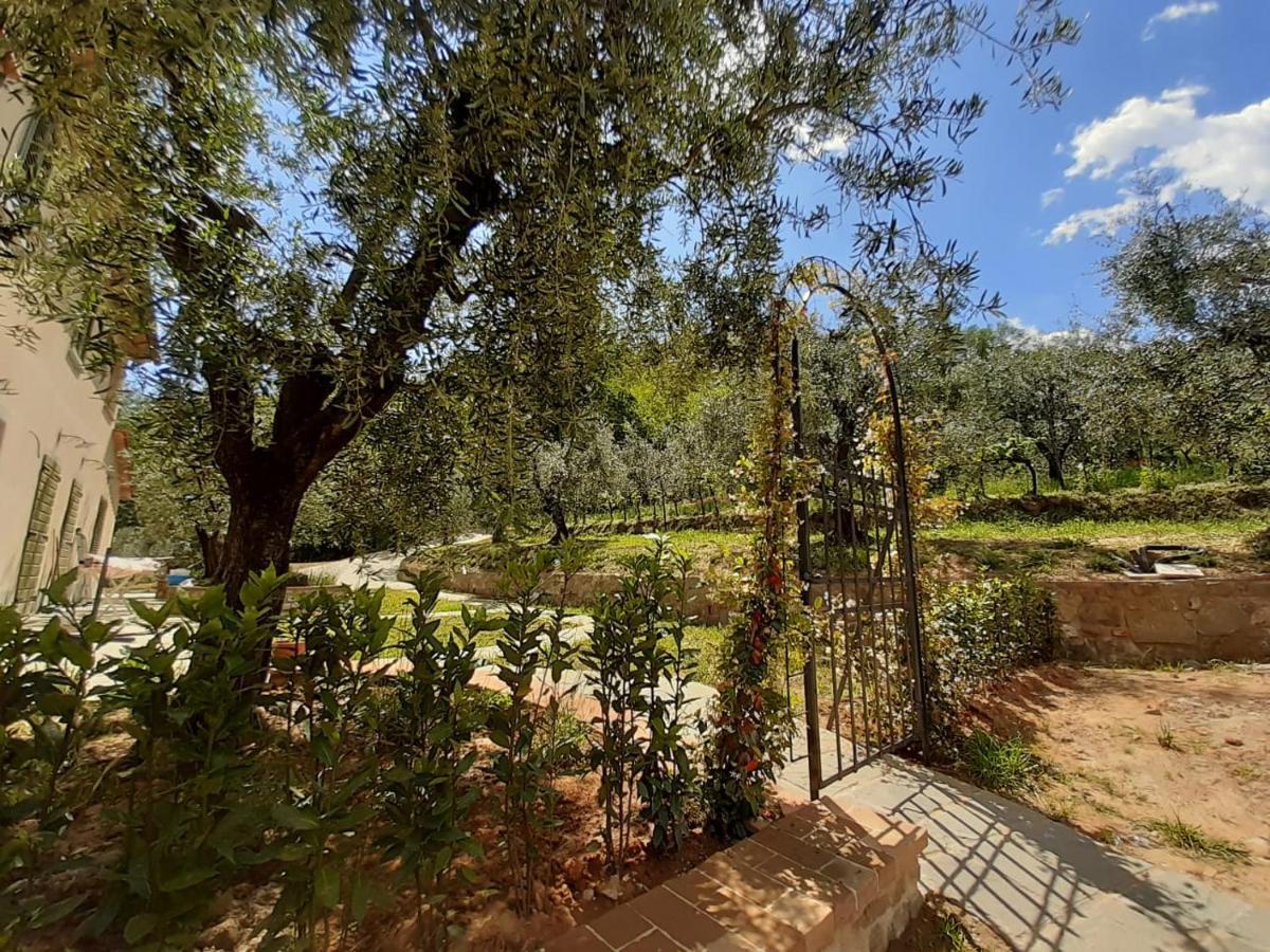 Agriturismo Fonteregia 蒙特卡蒂尼泰尔梅 外观 照片