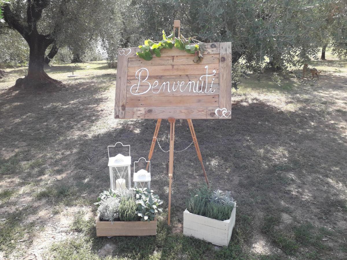Agriturismo Fonteregia 蒙特卡蒂尼泰尔梅 外观 照片