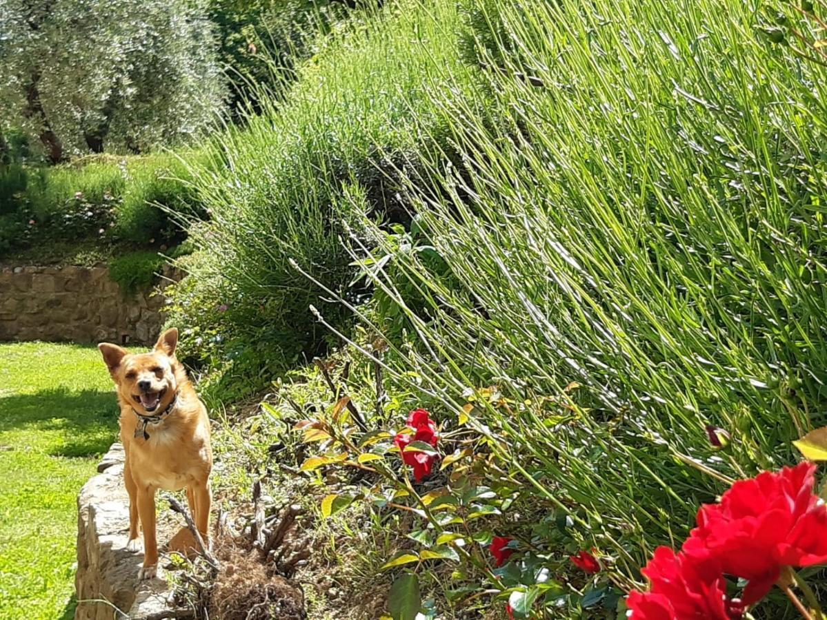 Agriturismo Fonteregia 蒙特卡蒂尼泰尔梅 外观 照片